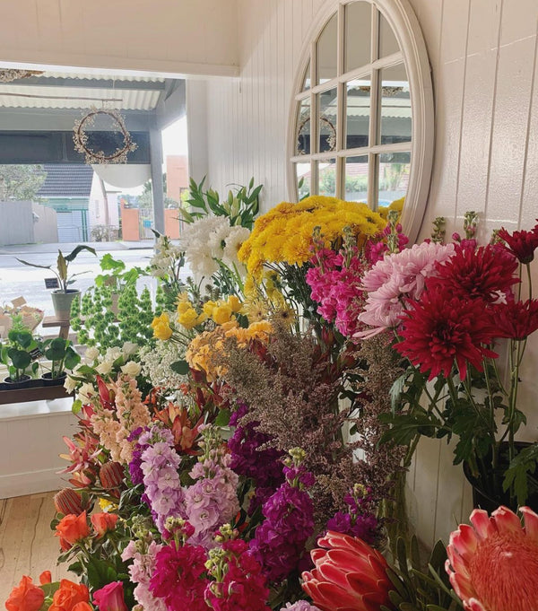 BRIGHT_FLOWERS_ON_DISPLAY_INSIDE_THE_BOTANICS_STORE