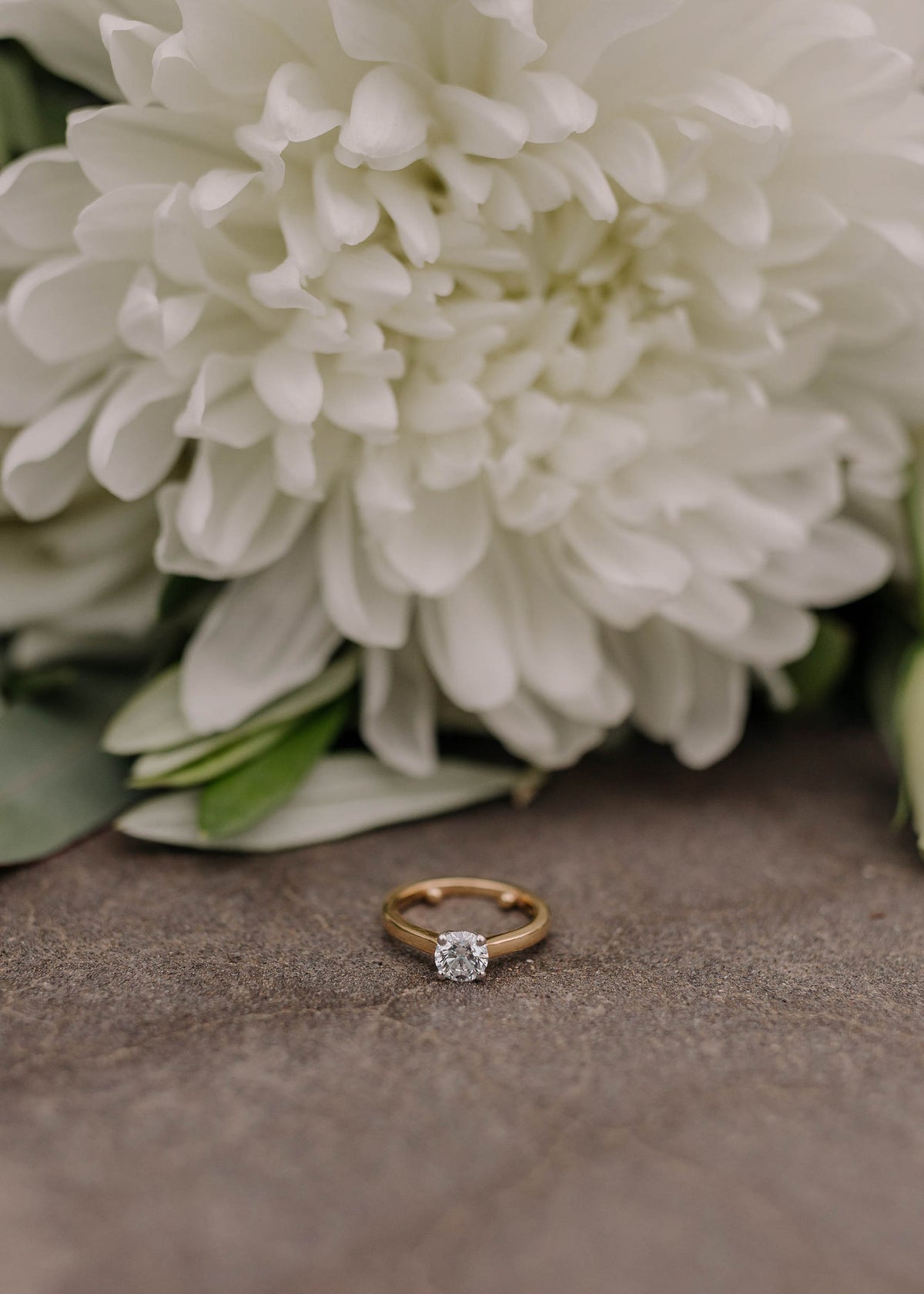 DIAMOND-ENGAGEMENT-RING-WITH-WHITE-FLOWER-IN-BACKGROUND