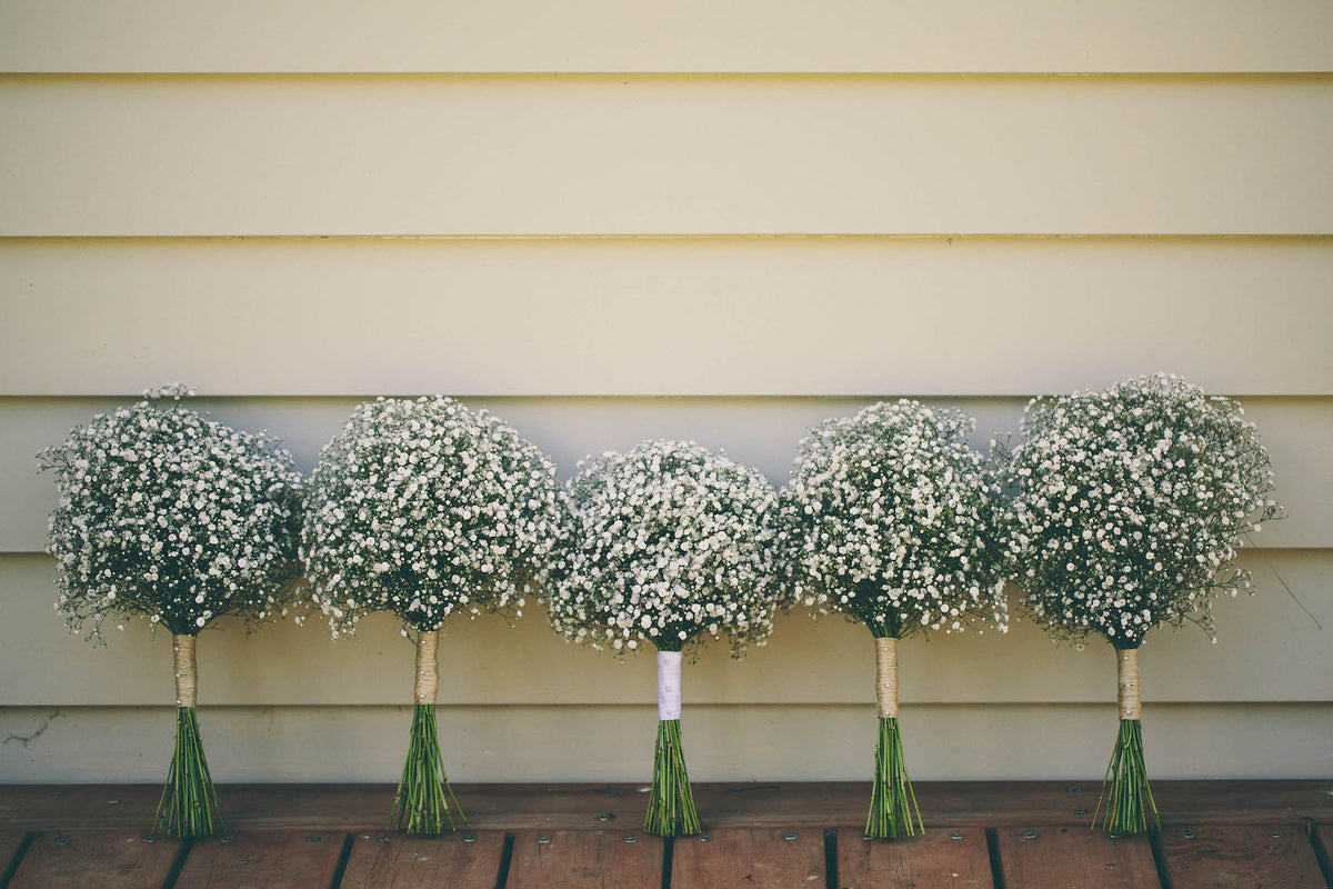 FIVE-WHITE-FLOWER-BOUQUETS-LINED-UP-AGAINST-HOUSE