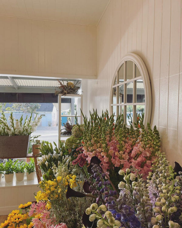 FLOWERS_ON_DISPLAY_INSIDE_THE_BOTANICS_STORE