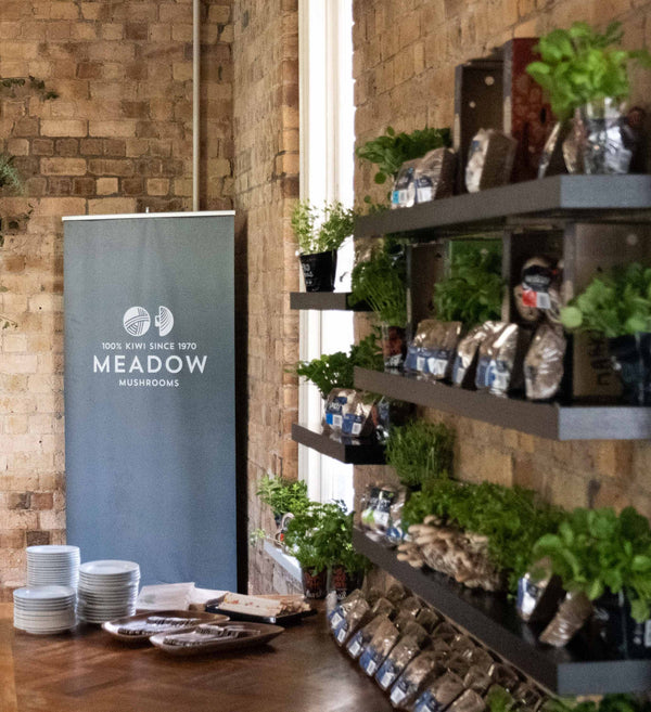 MEADOW-EVENT-SET-UP