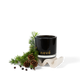 Black candle with wild pines and juniper berry branch