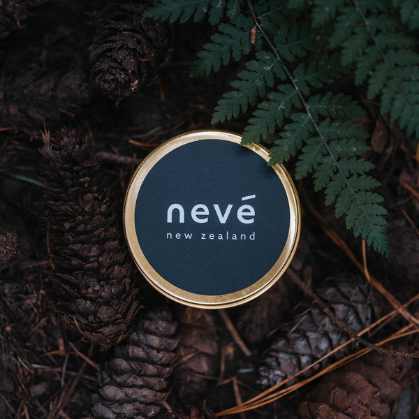 Single travel tin candle outdoors with pine cones and fern